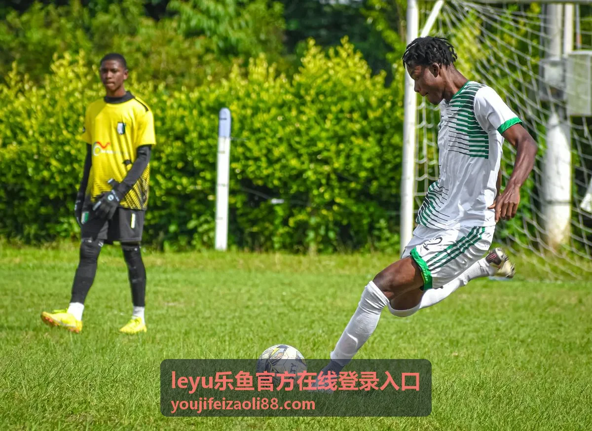 leyu乐鱼官方在线登录入口支付安全功能