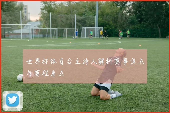 世界杯体育台主持人解析赛事焦点与赛程看点