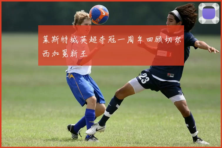 莱斯特城英超夺冠一周年回顾切尔西加冕新王