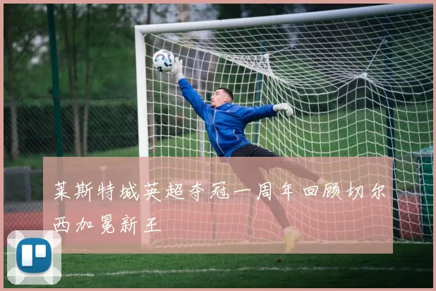 莱斯特城英超夺冠一周年回顾切尔西加冕新王
