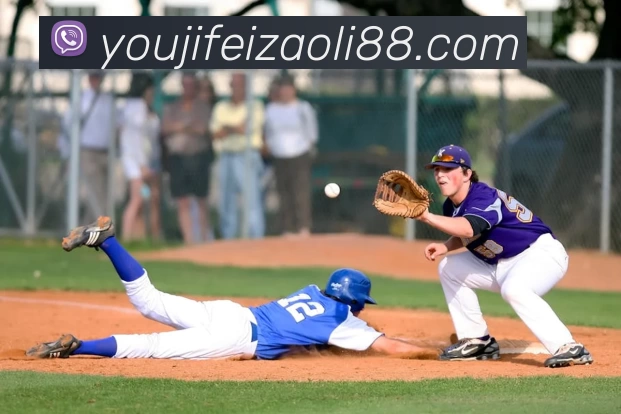 滚球官网app平台生态图